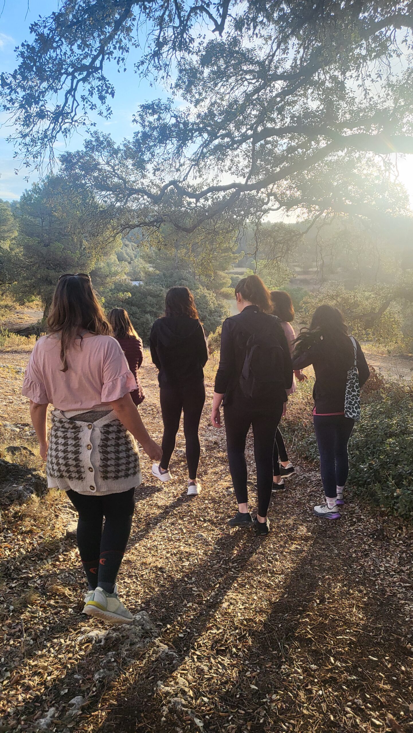 Paseo